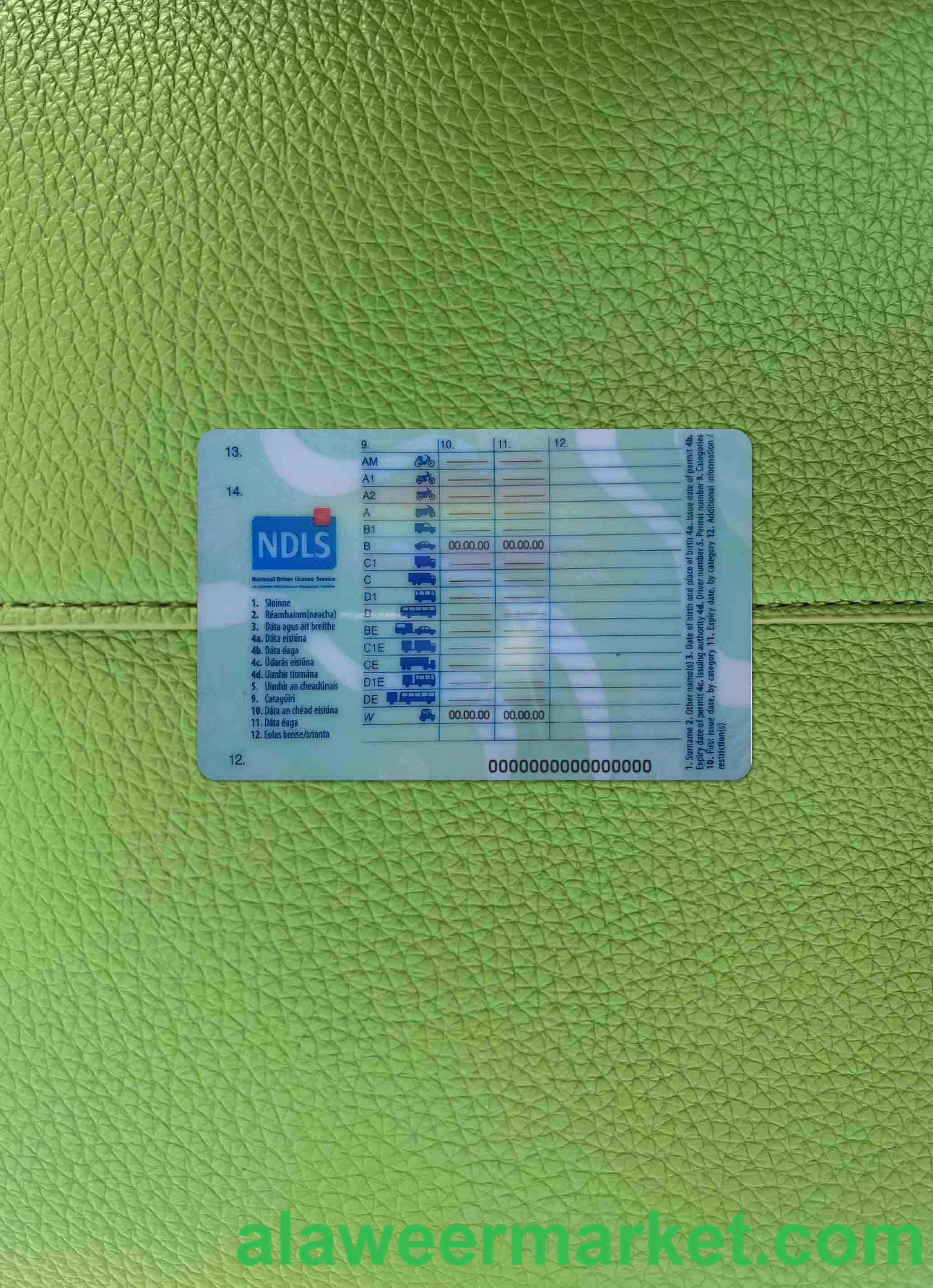 Ireland driving license (learner permit) 2022- present photolook BACK
